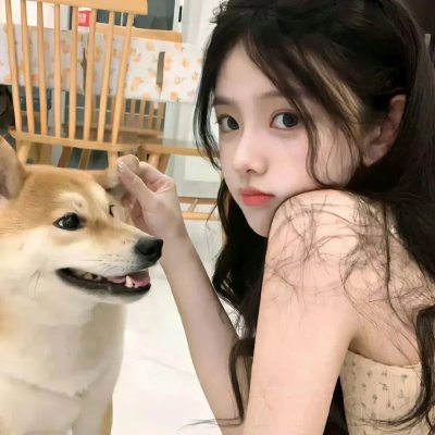 我被总裁骗了婚