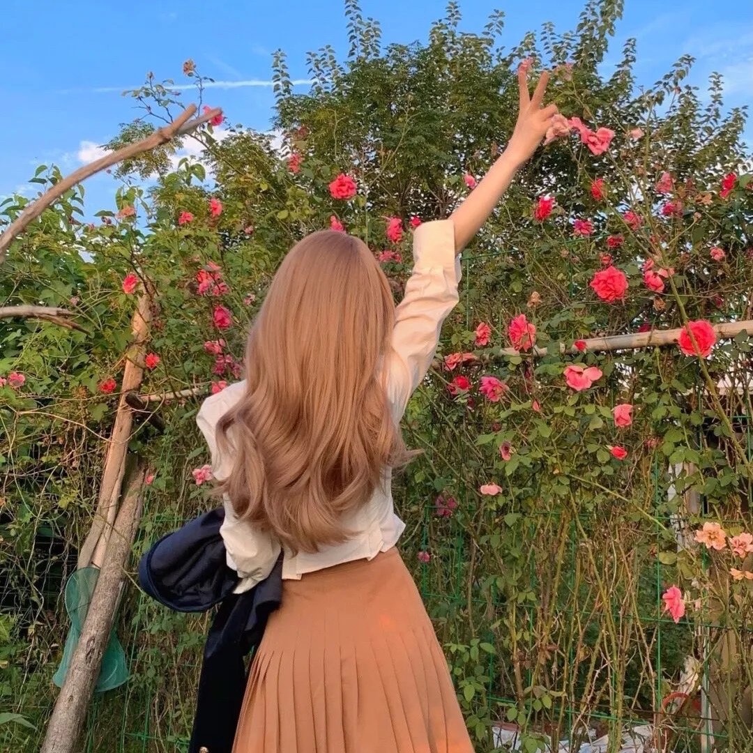 美国派4：美国重逢